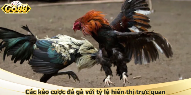 Các kèo cược đá gà với tỷ lệ hiển thị trực quan
