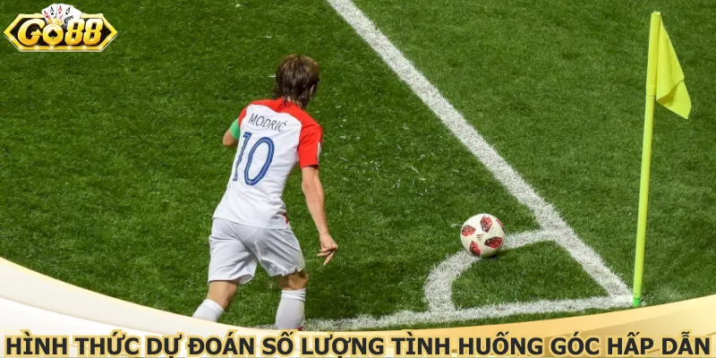 Hình thức dự đoán số lượng tình huống góc hấp dẫn