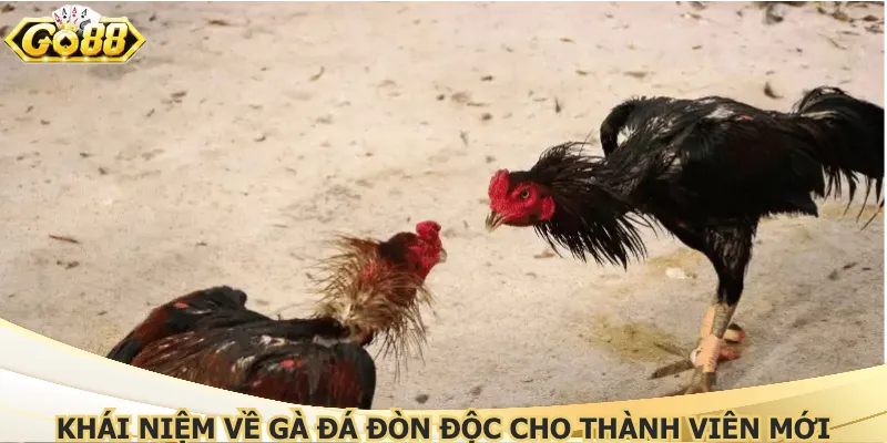 Khái niệm về gà đá đòn độc cho thành viên mới