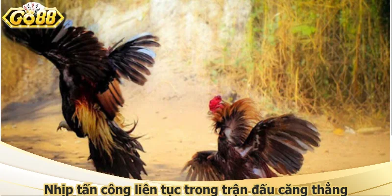 Nhịp tấn công liên tục trong trận đấu căng thẳng
