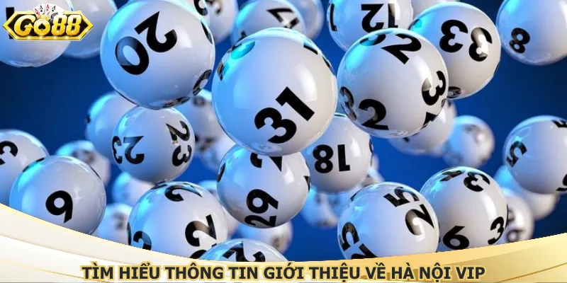 Tìm hiểu thông tin giới thiệu về Hà Nội Vip